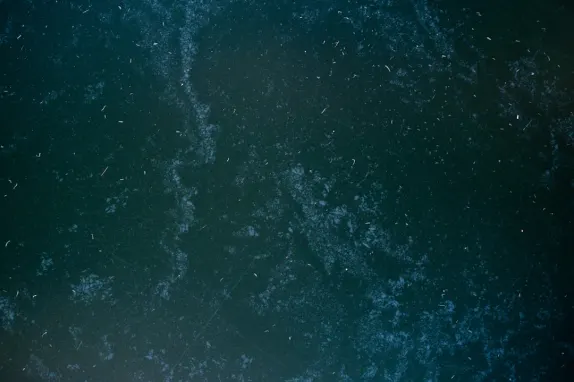 Tournaverse Casino Ondersteuning